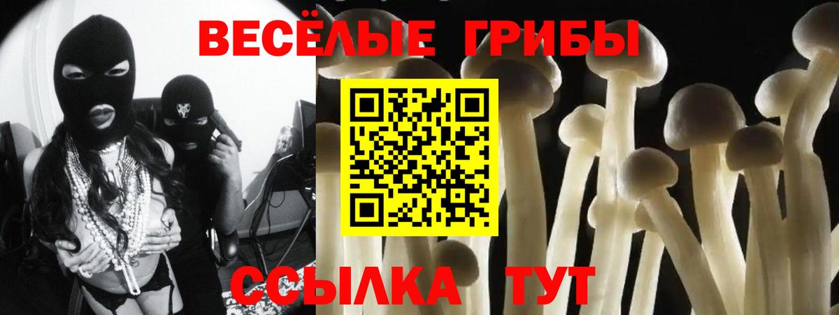 Галлюциногенные грибы мухоморы Санкт-Петербург
